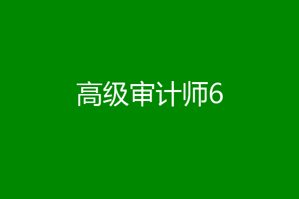 高级审计师6