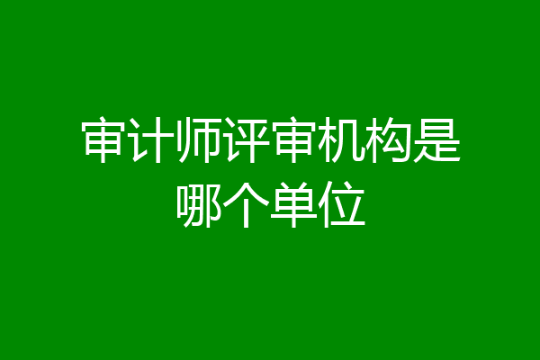 审计师评审机构是哪个单位