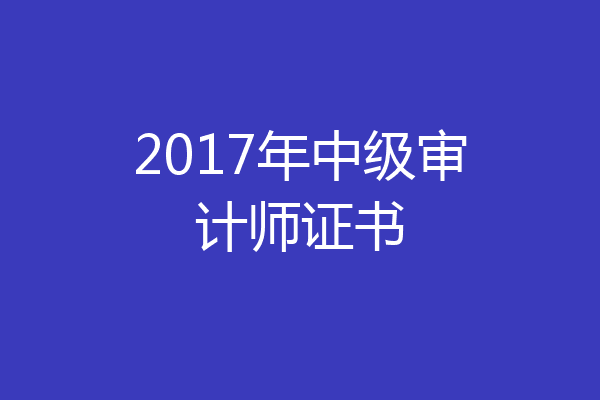 2017年中级审计师证书