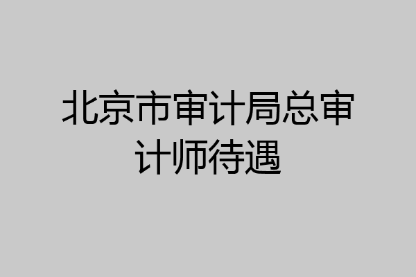 北京市审计局总审计师待遇