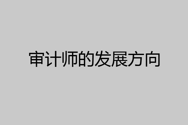 审计师的发展方向