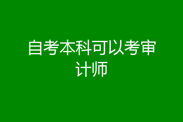 自考本科可以考审计师