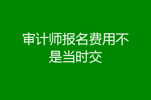 审计师报名费用不是当时交
