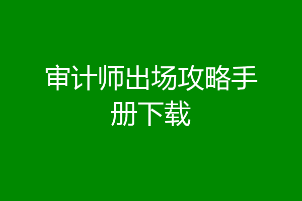 审计师出场攻略手册下载
