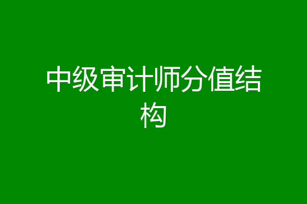 中级审计师分值结构