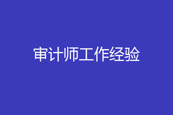 审计师工作经验