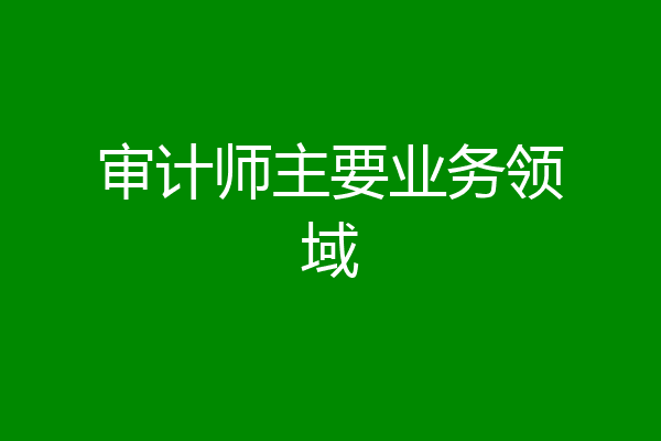 审计师主要业务领域