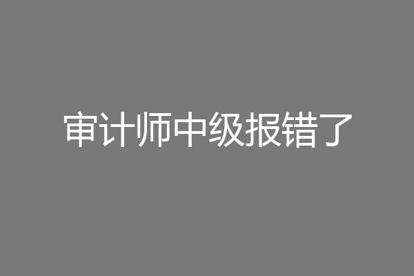 审计师中级报错了