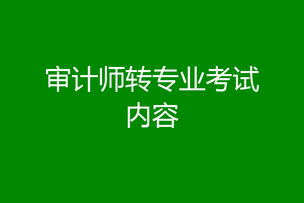 审计师转专业考试内容