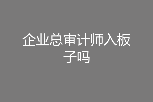 企业总审计师入板子吗