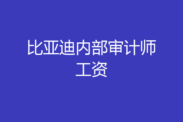 比亚迪内部审计师工资