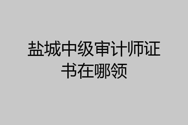 盐城中级审计师证书在哪领