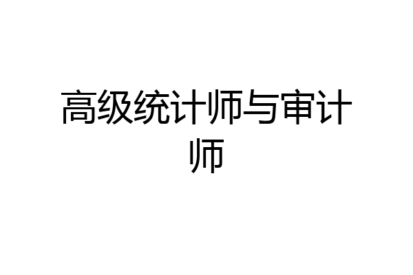 高级统计师与审计师