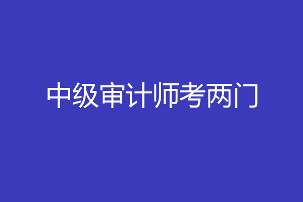 中级审计师考两门