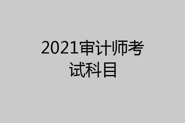 2021审计师考试科目