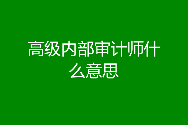 高级内部审计师什么意思
