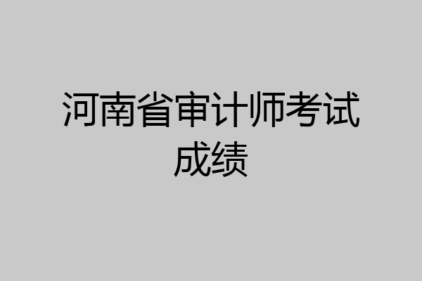 河南省审计师考试成绩