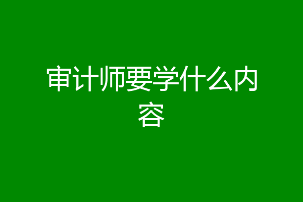 审计师要学什么内容