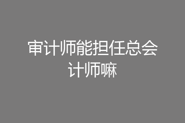 审计师能担任总会计师嘛