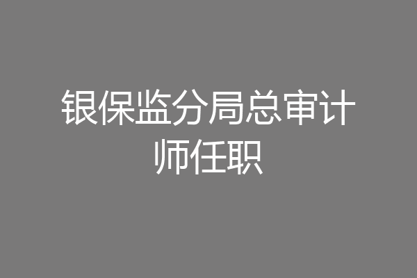 银保监分局总审计师任职