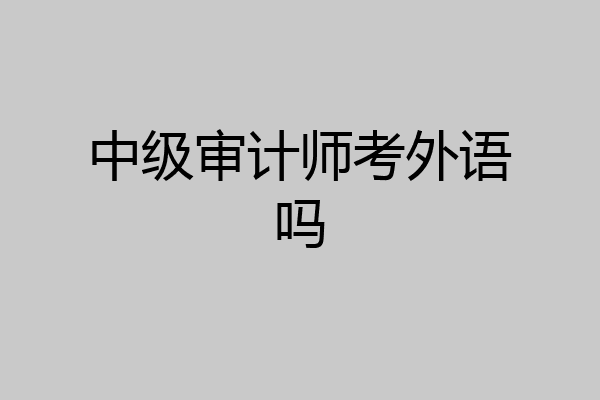 中级审计师考外语吗