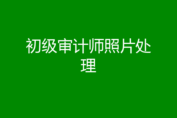 初级审计师照片处理