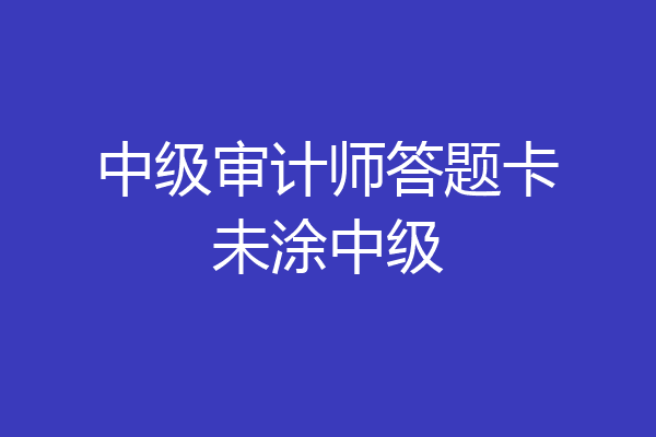 中级审计师答题卡未涂中级