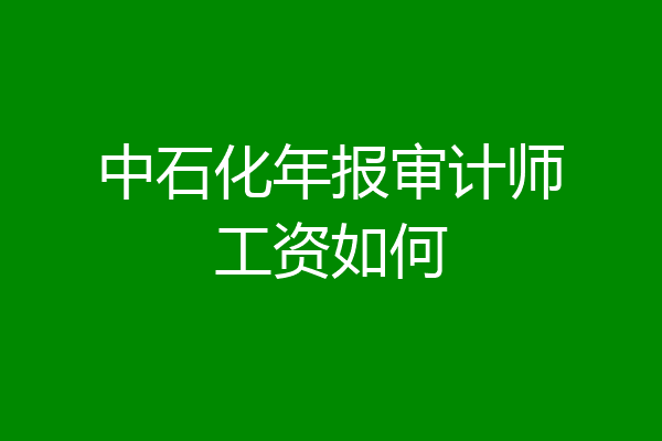中石化年报审计师工资如何