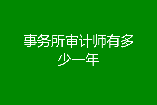 事务所审计师有多少一年