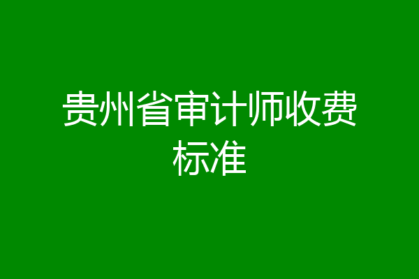 贵州省审计师收费标准