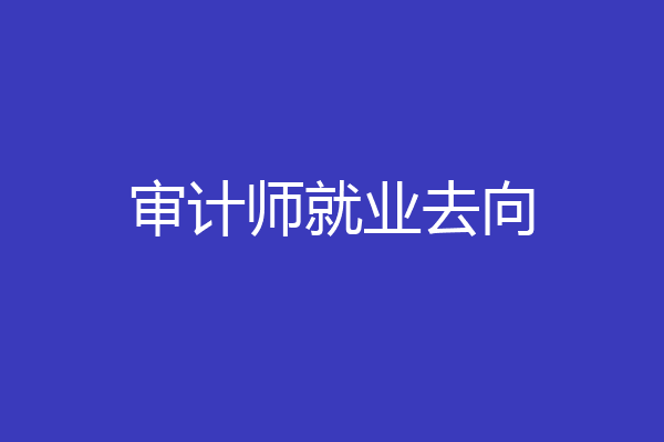 审计师就业去向