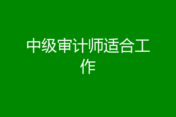中级审计师适合工作