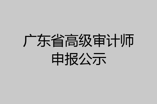 广东省高级审计师申报公示