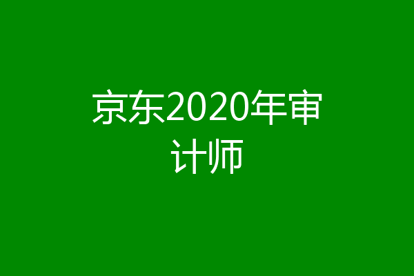 京东2020年审计师