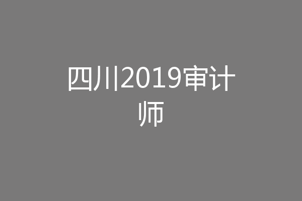 四川2019审计师