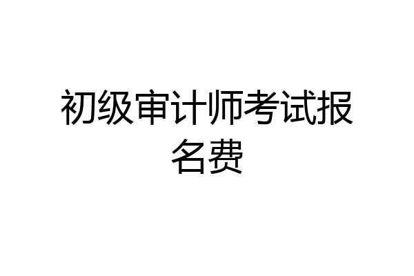 初级审计师考试报名费