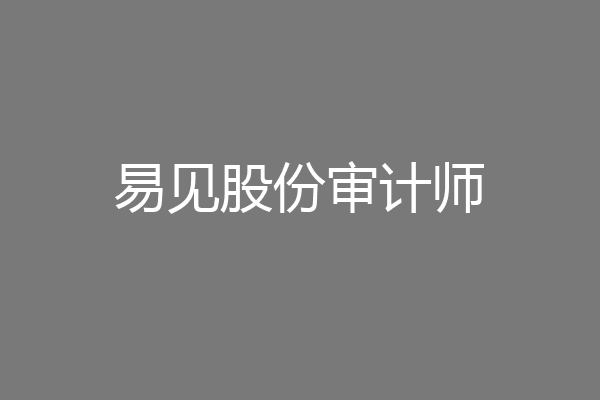 易见股份审计师
