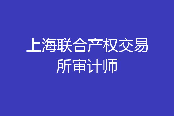 上海联合产权交易所审计师