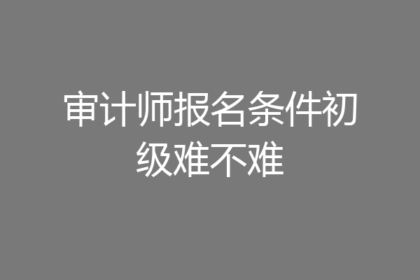 审计师报名条件初级难不难