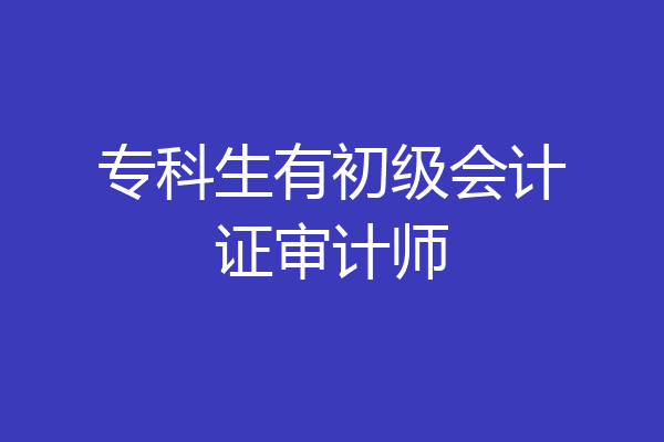 专科生有初级会计证审计师