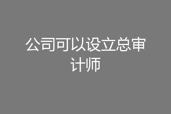 公司可以设立总审计师
