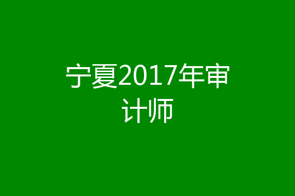 宁夏2017年审计师