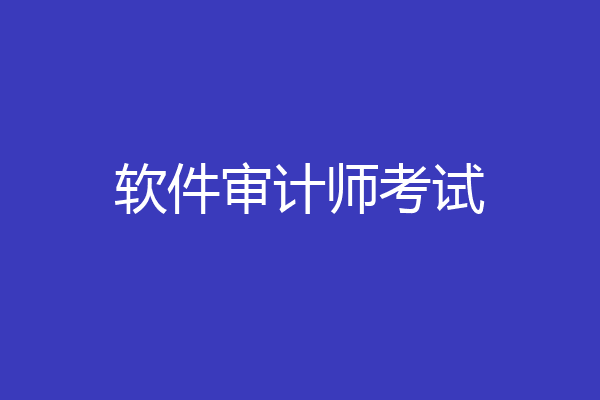 软件审计师考试