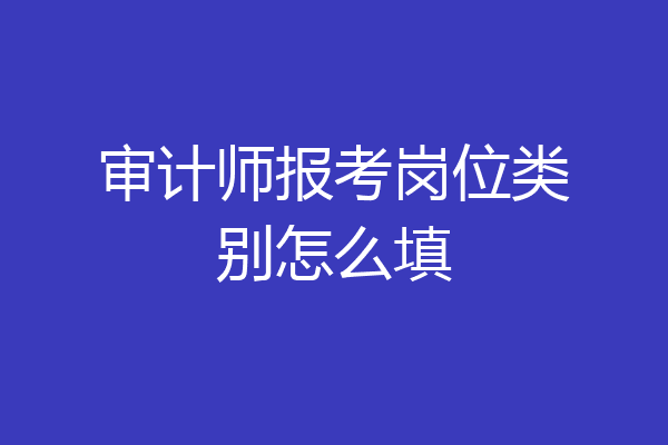 审计师报考岗位类别怎么填