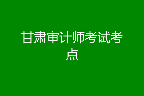 甘肃审计师考试考点