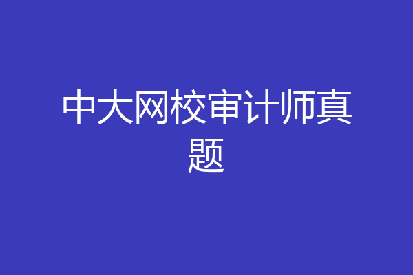 中大网校审计师真题