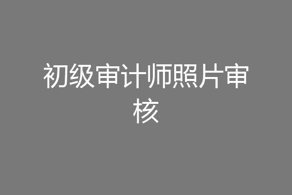 初级审计师照片审核
