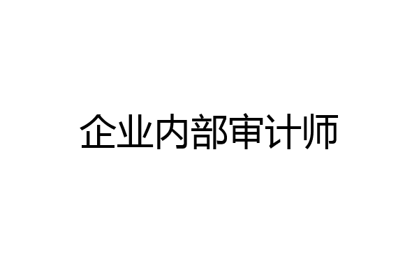 企业内部审计师