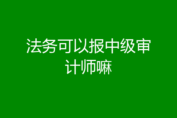 法务可以报中级审计师嘛