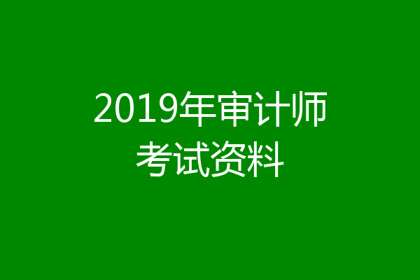 2019年审计师考试资料